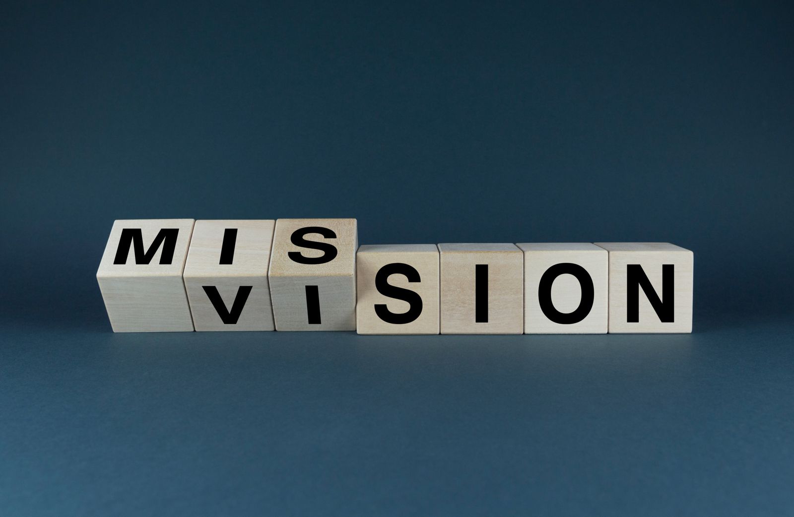 Why Our Mission and Vision Matter